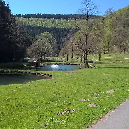 Daire Sonnenblick Schmallenberg